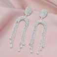 Fashion allmatch sparkling tassel crystal earrings Europe and the United States hot selling long earringspicture6