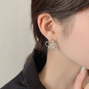Hollow pearl flower earrings female Korean fashion personality allmatch earrings cold wind new trendy womenpicture10