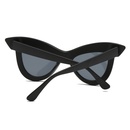 fashion cat eye big frame jelly color sunglassespicture7
