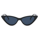 New retro smallframe triangle cateye sunglassespicture9
