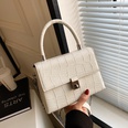 2022 New Womens Bags Crocodile Pattern Small Square Bag Fashion AllMatch Shoulder Messenger Bag High Sense Handbag Small Bagpicture8