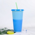 Neue Mode Temperatur Sensitive Farbwechsel Kunststoff Stroh Tasse 710mlpicture8