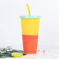Neue Mode Temperatur Sensitive Farbwechsel Kunststoff Stroh Tasse 710mlpicture9
