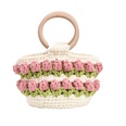 New Fashion Flower Woven Handbag Wood Portable19165cmpicture14