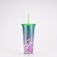 New Creative Double Plastic Straw Cup Gradient Color Large Capacity Cuppicture14