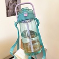 2050ml Groe Kapazitt Sommer Doppel Trinken Tasse mit Stroh Tragbare Kunststoff Wasser Flaschepicture9