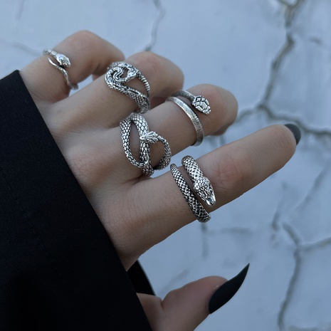 Fashion Geometric Snake-Shaped Vintage Silver Ring 5-Piece Set's discount tags