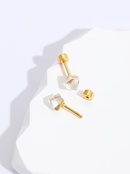 Mode Einfache Edelstahl Galvani 18K Gold Zirkon Ohrringepicture5