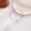 Fashion flat snake bone metal chain single layer casual simple copper ankletpicture10