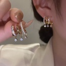 Ohrringe weiblich cool gut aussehend japanisch und koreanisch einfache Nische Design ein Ohrloch 3 Kreise Zirkon Quaste 925 Silber Nadelnetz rote Ohrringepicture15