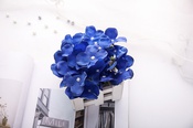 Fabrik Grohandel Simulation Blume Hochzeit Blume Wanddekorationpicture38
