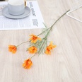 Simulation Gnseblmchen Chrysantheme Home Tischdekoration Blumepicture15