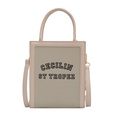 Handbag women39s bag 2022 summer new trendy niche design messenger bag highend allmatch small square bagpicture13