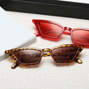 Bunte Sonnenbrillen mit kleinem Rahmen und CatEyeRetroKunststoffscharnieren im Grohandelpicture7