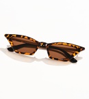 New smallframe cateye metal geometric sunglasses wholesalepicture11