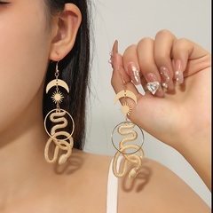 fashion creative exaggerated long geometric snake-shaped earrings