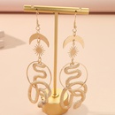 fashion creative exaggerated long geometric snakeshaped earringspicture8