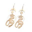fashion creative exaggerated long geometric snakeshaped earringspicture10