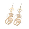 fashion creative exaggerated long geometric snakeshaped earringspicture11