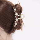 Fashion Morandi Oil Dripping Metal Grip Geometric Alloy Updo Hair Clawpicture6