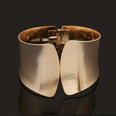 Occident Other iron Bracelets  BZ02051picture24