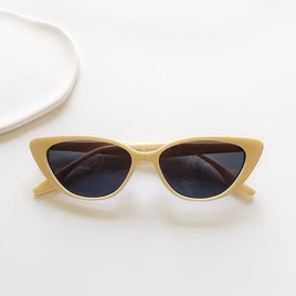 2022 New retro style Cats Eye Small Frame Sunglassespicture15