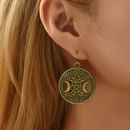 Fashion Alloy Moon Star Geometric Round Drop Earringspicture5