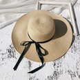 Female Summer SunProof Seaside Travel Big Brim Face Cover Straw Sun Hatpicture14