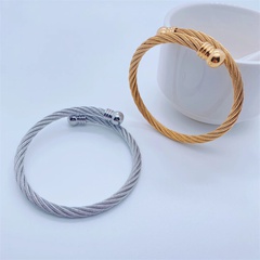 Fashion Simple 18K Gold Plating Solid Color Twist Chain Titanium Steel Bracelet