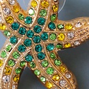 Fashion Creative Colorful Starfish Full Diamond Retro Alloy Earringspicture10