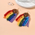 New Ethnic Style Handmade Colorful Fabric Tassel Geometric Earringspicture13