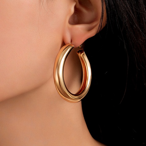 Fashion new style Alloy Geometric Glossy hoop earrings's discount tags