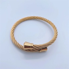 Fashion Simple 18K Gold Plating Twisted Chain Titanium Steel Bracelet