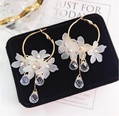Fashion Flower Tassel Water Drop Pendant Crystal Petal Earringspicture12
