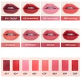 fashion matte lipstick bullet lipstick lip gloss lipstick makeuppicture18