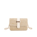 New Fashion Simple Woven Womens Chain Shoulder Messenger Straw Bagpicture8
