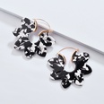 Alloy Fashion Flowers earring  1 NHLU03331picture13