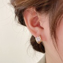 Mode Einfache Ovale Form Intarsien Zirkon Kleine Legierung Ohrringepicture9