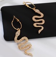 New fashion snakeshaped diamond earrings NHNZ157521picture7