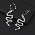 New fashion snakeshaped diamond earrings NHNZ157521picture8