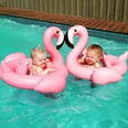 Grohandel Aufblasbare Wei Schwan Sitz Geformt Flamingo Kinder Schwimmen Ring kinderpicture14