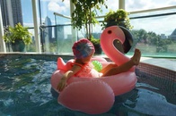 Grohandel Aufblasbare Wei Schwan Sitz Geformt Flamingo Kinder Schwimmen Ring kinderpicture9