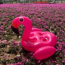 PVC Aufblasbare Flamingo Bahn Einhorn Trinken Tasse Geformt Schwimmen Ringpicture13