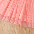 2022 dt Rose Robe Petite Fille Princesse Robe Tulle Jupepicture9