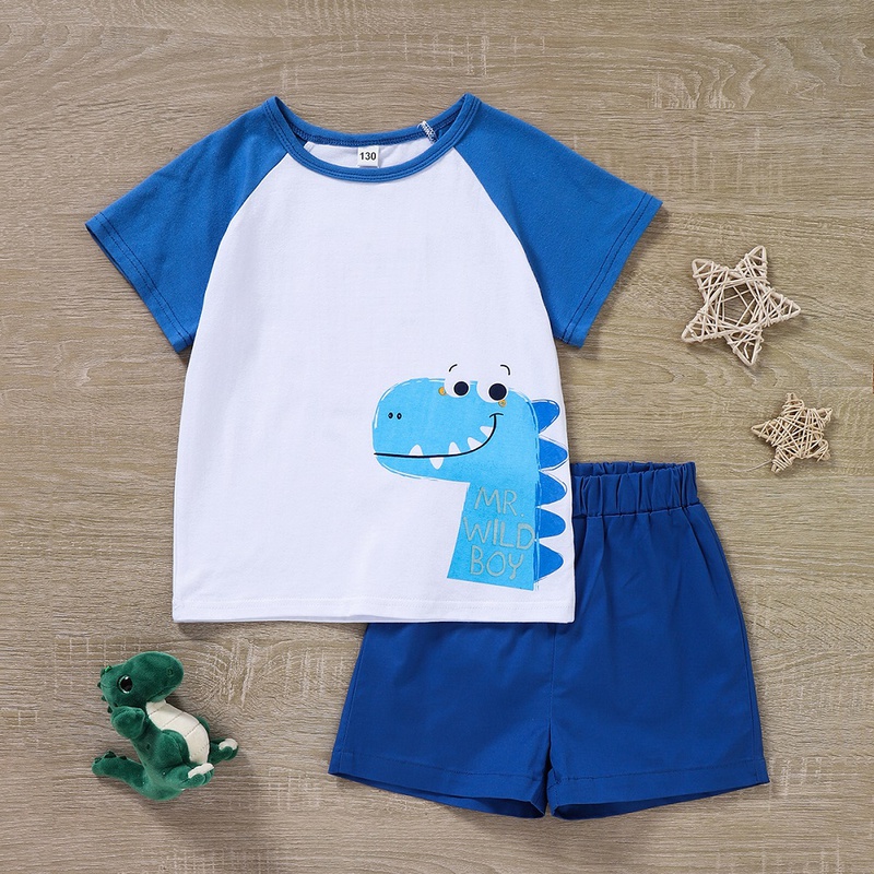 Childrens Boys Summer Casual Sports Cartoon Blue Dinosaur Animal Cute Printed Shorts Suit