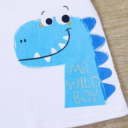 Childrens Boys Summer Casual Sports Cartoon Blue Dinosaur Animal Cute Printed Shorts Suitpicture5