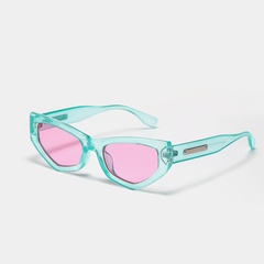 New Fashion Cat Eye Glasses Women's and Men's Big Face Metal Sunglasses