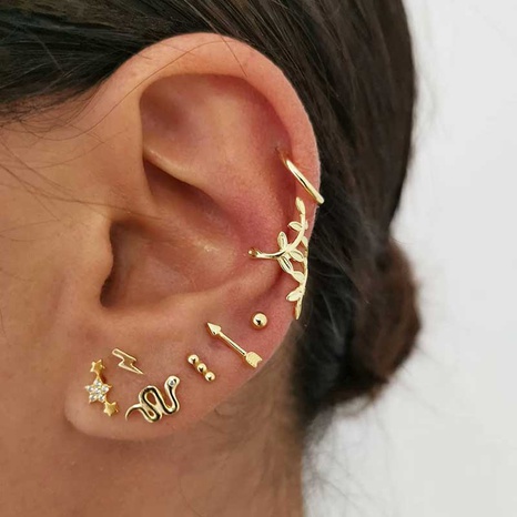 Oro de moda-Hoja de serpiente chapada-Conjunto de pendientes con forma para mujer's discount tags