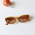 Retro style Triangle Cat Eye frame multicolor Sunglassespicture16