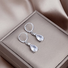 Silver Needle Personality Tassel Three-Dimensional Crystal Earrings